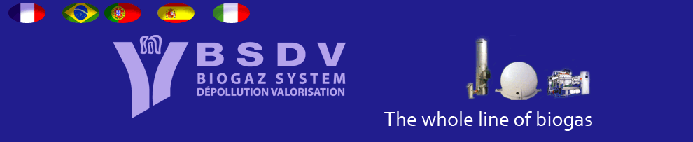 BSDV - the whole line of biogas