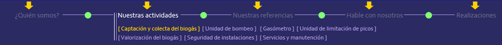 BSDV: nuestras actividades