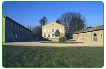 Sede