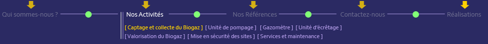 BSDV le sp&eacute;cialiste de la ligne biogaz
