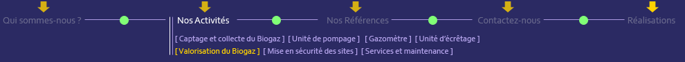 BSDV le sp&eacute;cialiste de la ligne biogaz